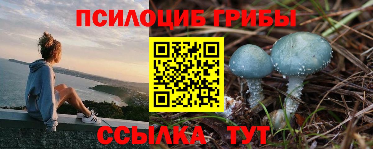 цена   Вход с VPN  Клинцы  Галлюциногенные грибы мухоморы 